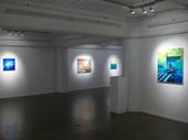 Bevan Shaw Toi Poneke Gallery What Are You Driving At? Installation View